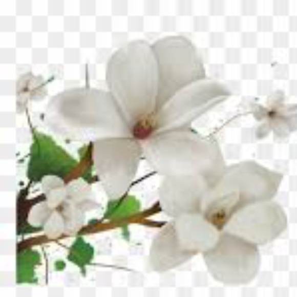 Retinol 18 Vitamin A Revolution Night Serum 30ml - Picture 13 of 14